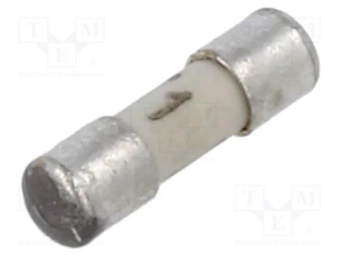 Fusível: baixa tensão, retardado, 1A, 125VAC, 125.