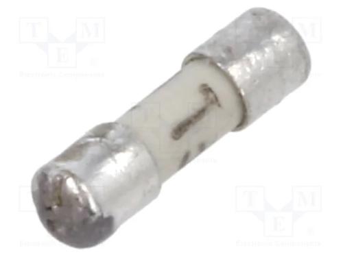 Fusível: baixa tensão, retardado, 5A, 125VAC, 125.