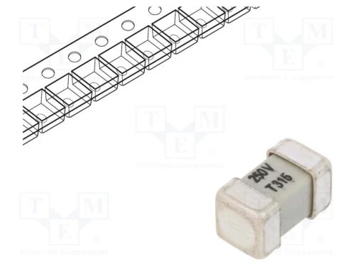 Fusível: baixa tensão, retardado, 315mA, 250V, SM.