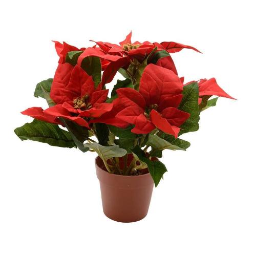 Planta Artificial Flor de Páscoa, Ø27x27cm, Basics