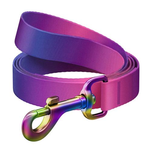 Waudog Gradient Nylon Dog Leash, 20mm Wide, 122cm Long, Purple