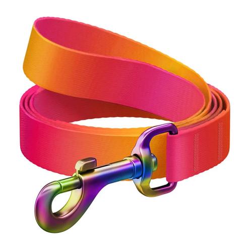 Waudog Gradient Nylon Dog Leash, 15mm Wide, 122cm Long, Orange