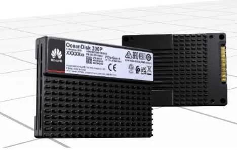 Huawei SSD Interno Oceandisk 300p Es3500p V6 Stlz.